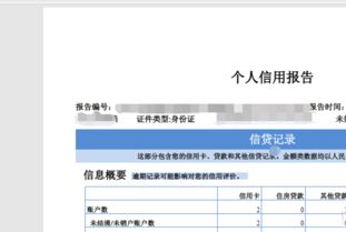 個人互聯網服務 周末查詢征信與利用工具實現信用自由指南