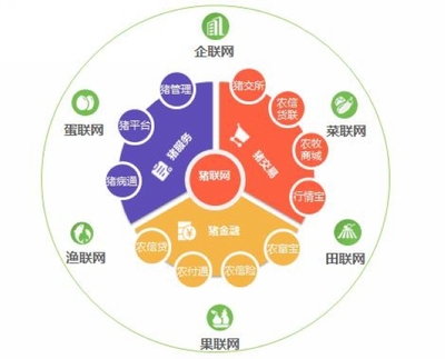 平安互聯網創建項目 打造安全、便捷、高效的個人互聯網服務新生態